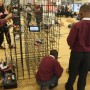 2017_02_23_edu_tateexchange_10