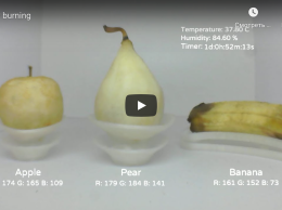 Vasilii Bakanov (Russia), “Slow burning”, live streaming still life (open-ended), 2020.